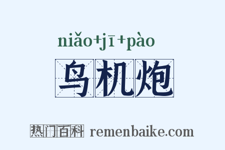 鸟机炮是什么意思的图片